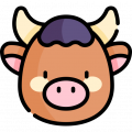 buffalo
